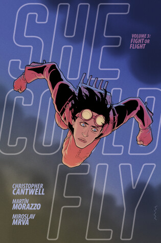 Cover of She Could Fly Volume 3: Fight Or Flight