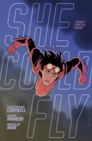 Book cover for She Could Fly Volume 3: Fight Or Flight