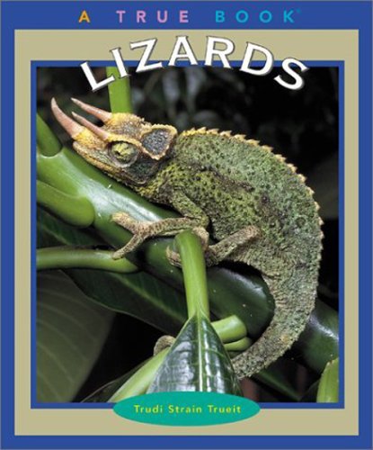 Book cover for Lizards