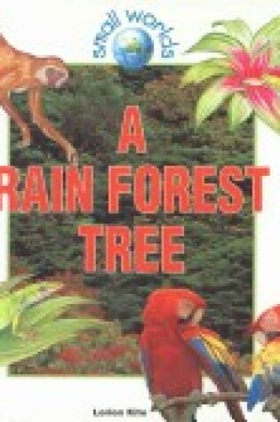 Cover of A Rain Forest Tree