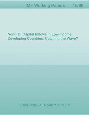 Book cover for Non-FDI Capital Inflows in Low-Income Developing Countries