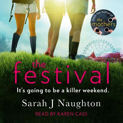 Book cover for The Festival