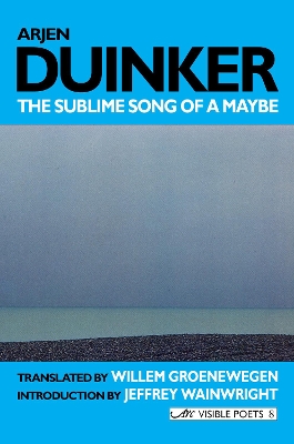 Book cover for Sublime Song of a Maybe