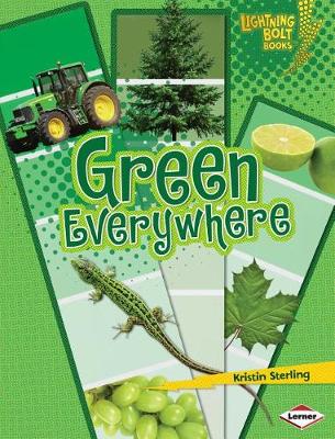 Cover of Green Everywhere