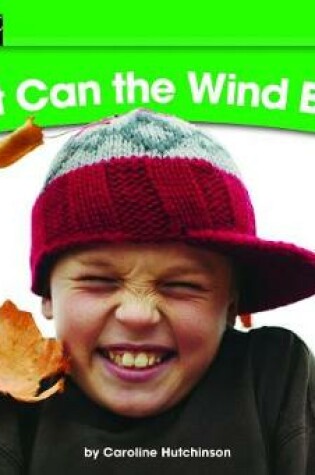 Cover of What Can the Wind Blow? Leveled Text