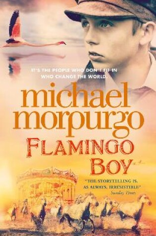 Cover of Flamingo Boy