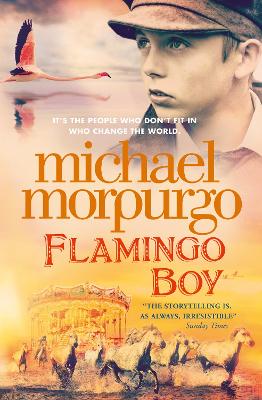 Book cover for Flamingo Boy