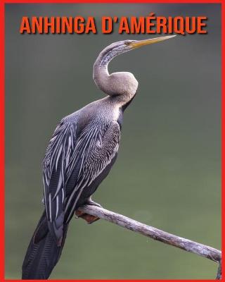 Book cover for Anhinga d'Amérique