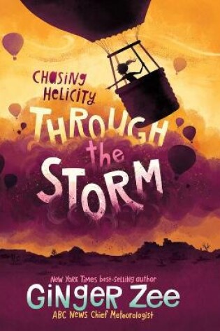 Cover of Chasing Helicity Through the Storm