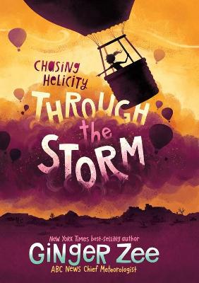 Book cover for Chasing Helicity Through the Storm