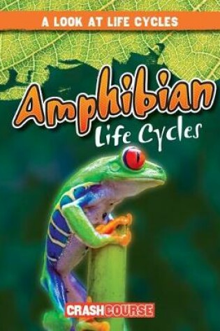 Cover of Amphibian Life Cycles