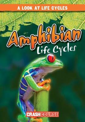 Cover of Amphibian Life Cycles