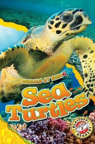 Cover of Sea Turtles