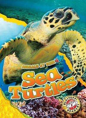 Cover of Sea Turtles