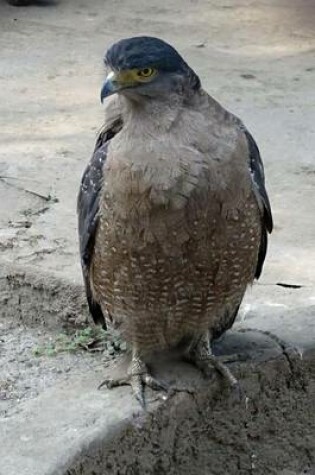 Cover of Crested Serpent Eagle, Birds of the World