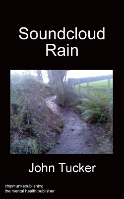 Book cover for Soundcloud Rain