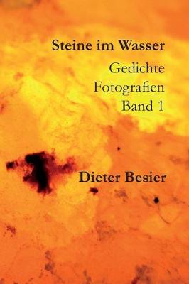 Book cover for Steine im Wasser