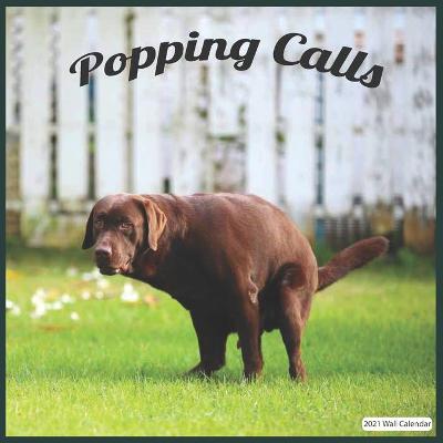 Book cover for Popping Calls 2021 Wall Calendar