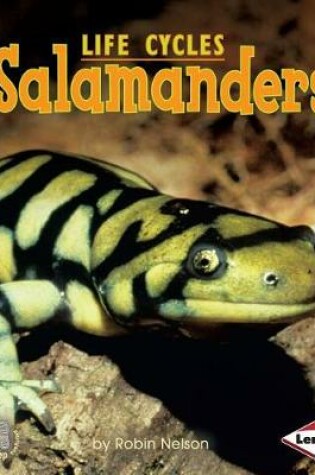 Cover of Salamanders