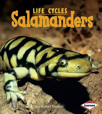 Book cover for Salamanders