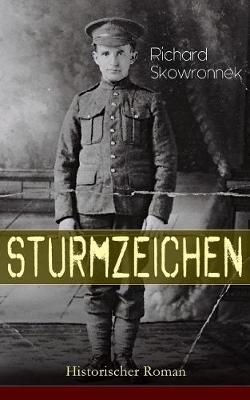 Book cover for Sturmzeichen (Historischer Roman)