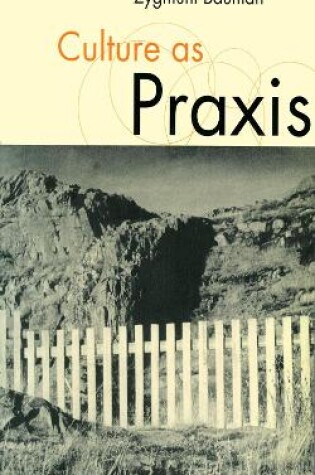 Cover of Culture as Praxis