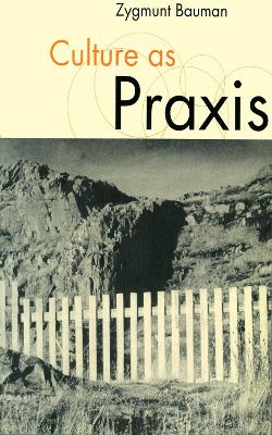 Cover of Culture as Praxis