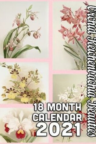 Cover of Orchid Reichenbachia Beauties 18-Month Calendar 2021