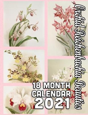 Book cover for Orchid Reichenbachia Beauties 18-Month Calendar 2021