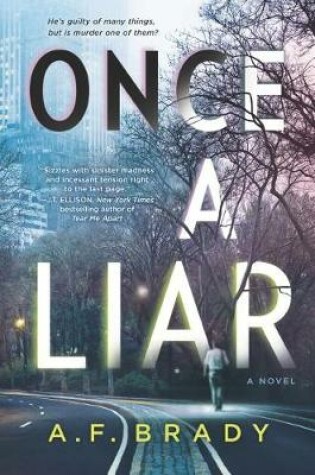 Cover of Once a Liar