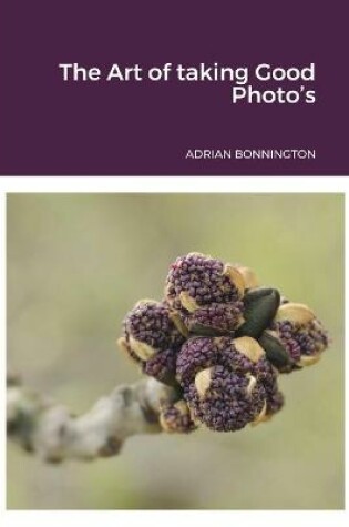 Cover of The Art of taking Good Photo's