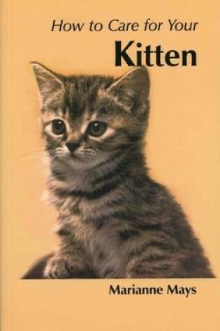 Cover of How to Care for Your Kitten