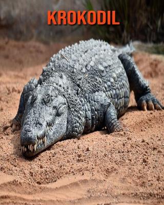 Book cover for Krokodil