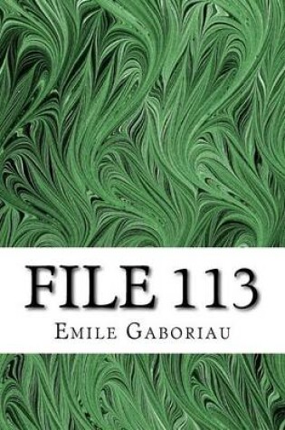 Cover of File 113
