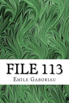 Book cover for File 113
