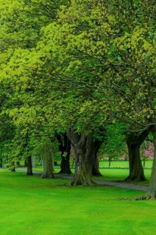 Cover of Beautiful Green Grass and Trees in a Park, Jumbo Oversized