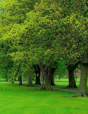 Book cover for Beautiful Green Grass and Trees in a Park, Jumbo Oversized