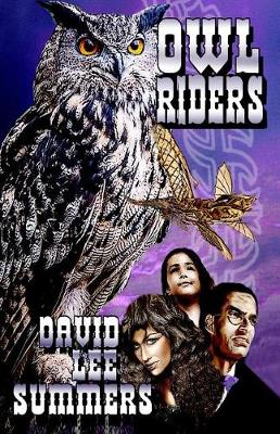 Book cover for Owl Riders