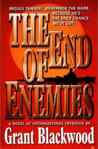 Cover of The End of Enemies