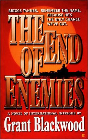 Book cover for The End of Enemies