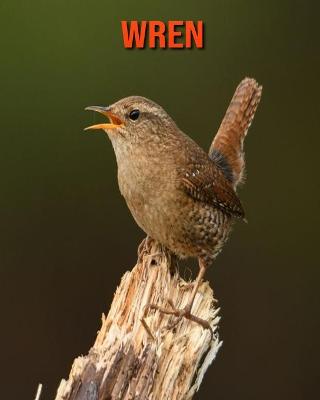 Book cover for Wren