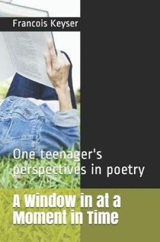 Cover of A Window in at a Moment in Time