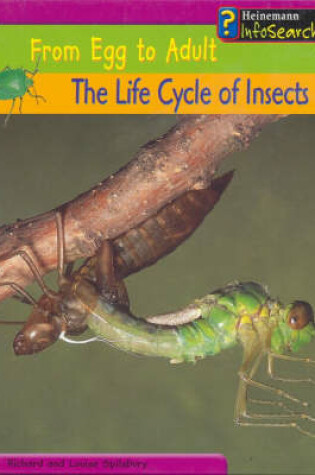 Cover of From Egg to Adult: The Life Cycle of Insects