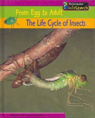 Book cover for From Egg to Adult: The Life Cycle of Insects