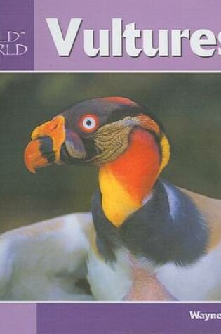 Cover of Vultures