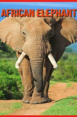 Cover of African Elephant