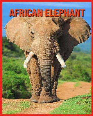 Book cover for African Elephant