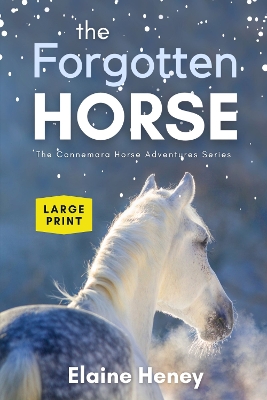 Book cover for The Forgotten Horse - Book 1 in the Connemara Horse Adventure Series LARGE PRINT