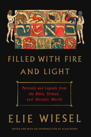 Cover of Filled with Fire and Light