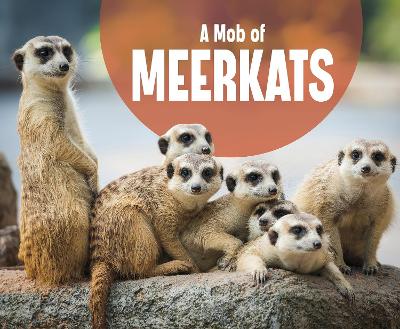 Cover of A Mob of Meerkats